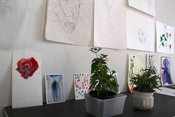 hannah_james_vue_d-atelier_novembre_2016_2