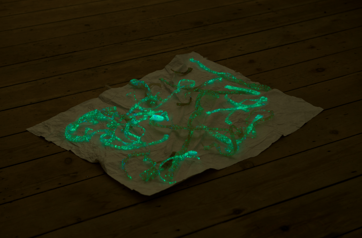 capture-decran-2024-07-24-a-17.10.33