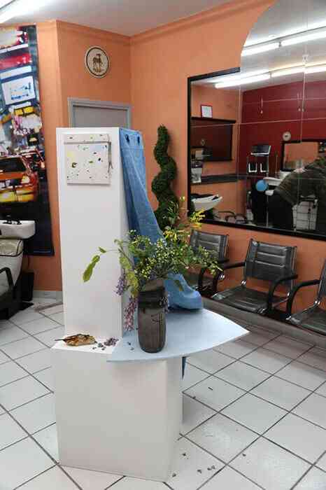 2_vue_d_ensemble_longchamp_coiffure_121_rue_bernardy_13006_marseille