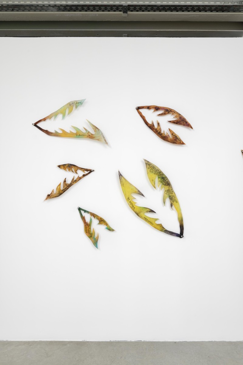 2024-06_triangle-asterides_hymne-aux-murenes_claude-eigan_pissed-serie-_2021-toujours-en-cours_aurelien-mole