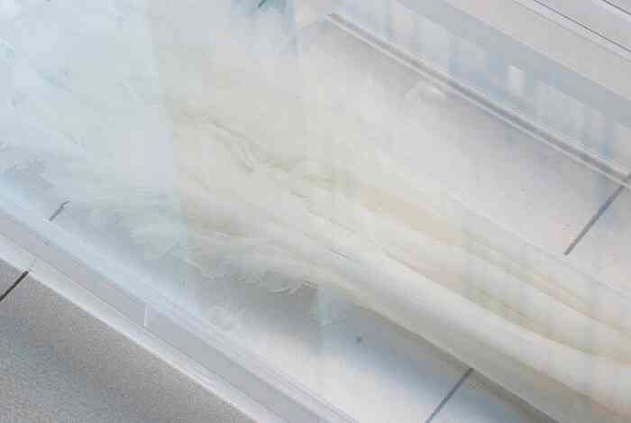 1_tim_simonds_i_said_say_they_vue_d_exposition__emilie_segnarbieux