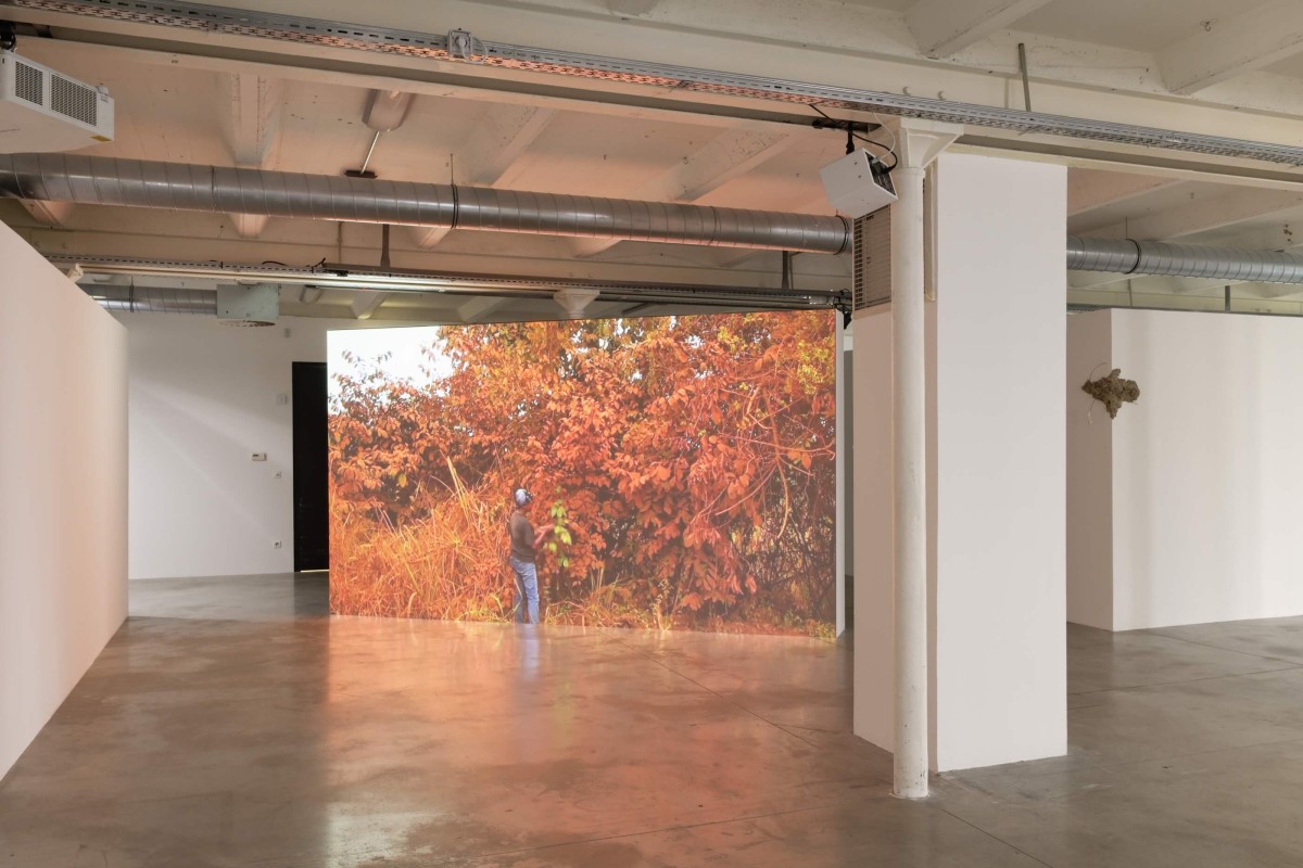 6_exposition-jaimes-triangle-asterides-centre-d-art-contemporain-d-interet-national-credit-photo-aurelien-mole25