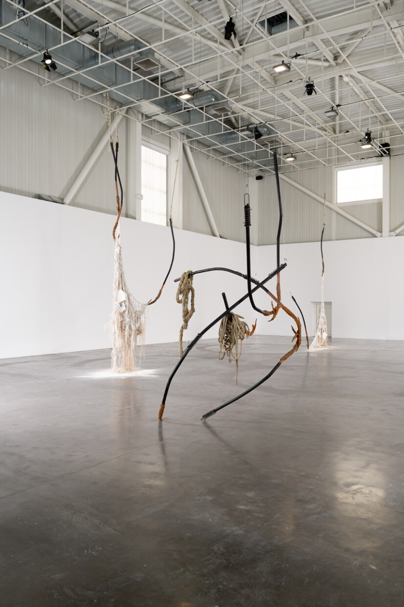 triangle-2022-dominique-white-045