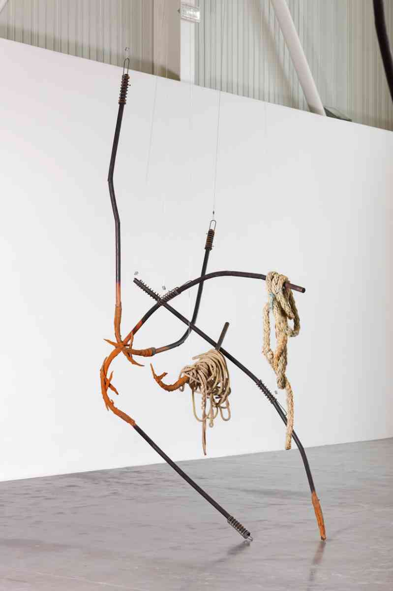 triangle-2022-dominique-white-059