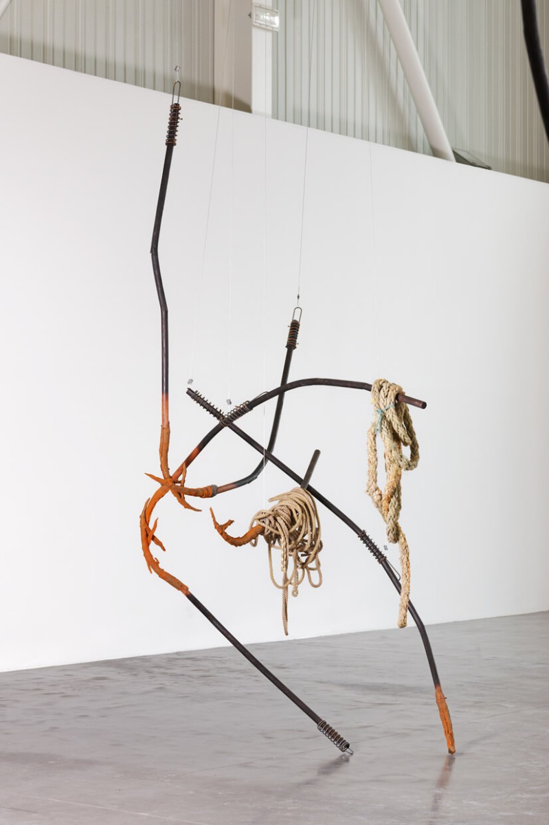 triangle-2022-dominique-white-059