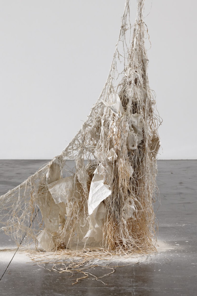 triangle-2022-dominique-white-003