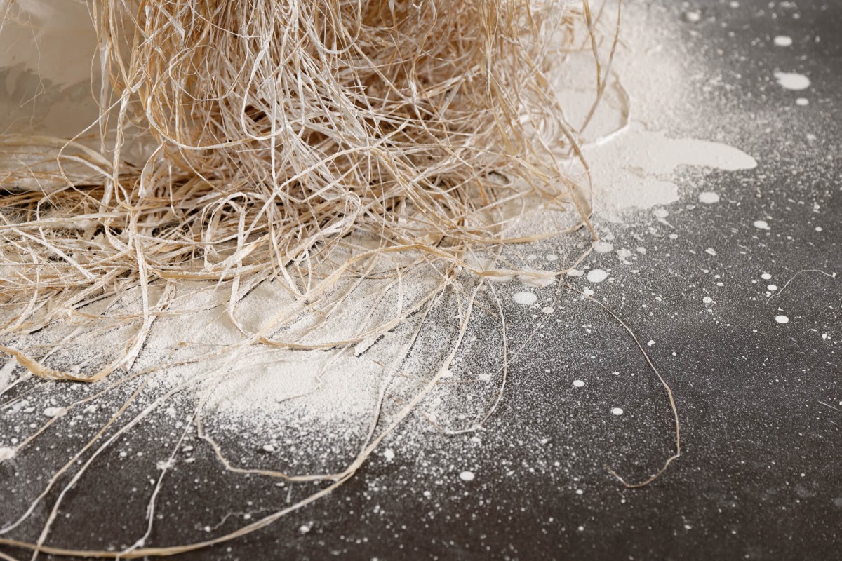 triangle-2022-dominique-white-008