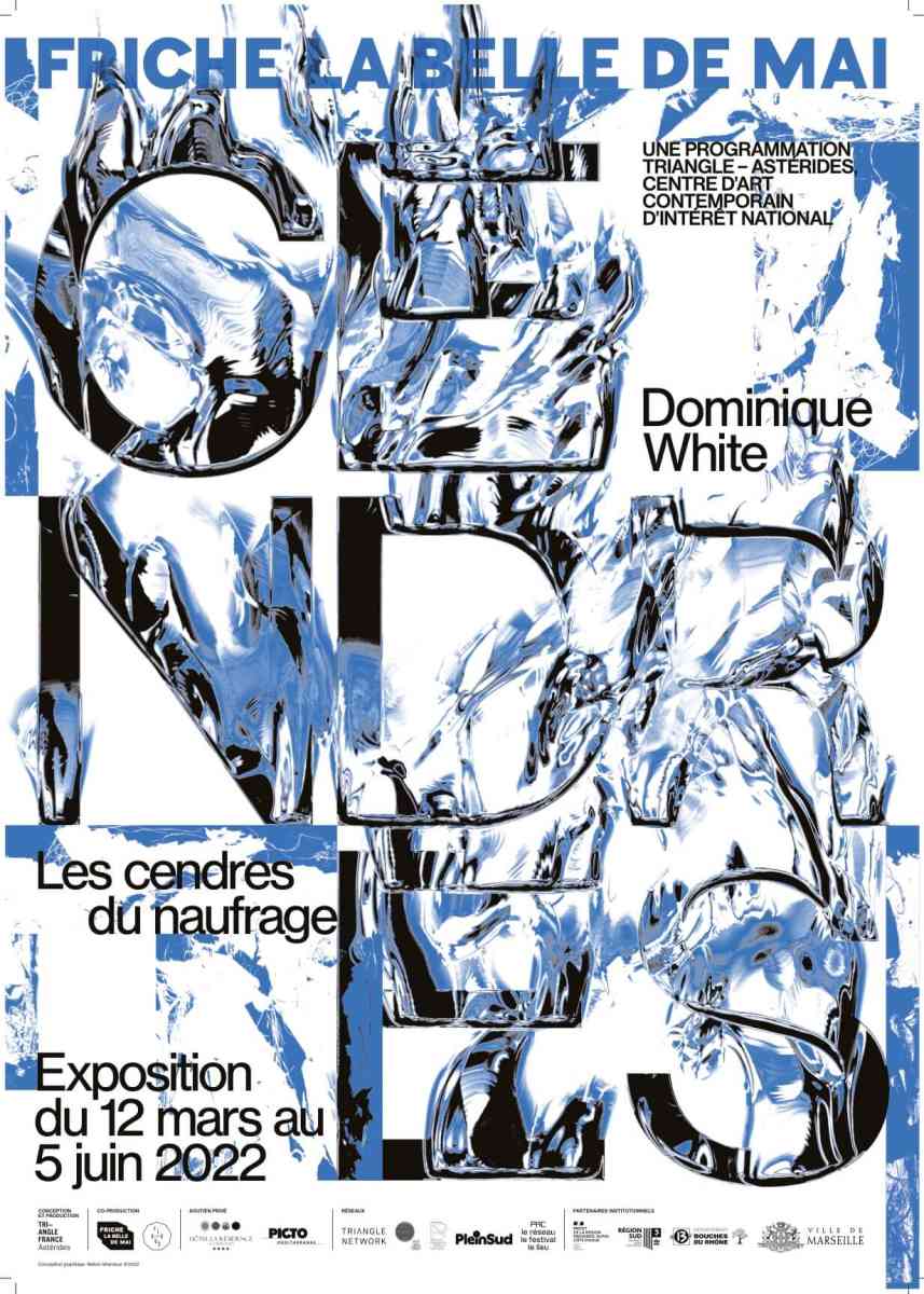 dominique_white_affiche_a2_fab-copie