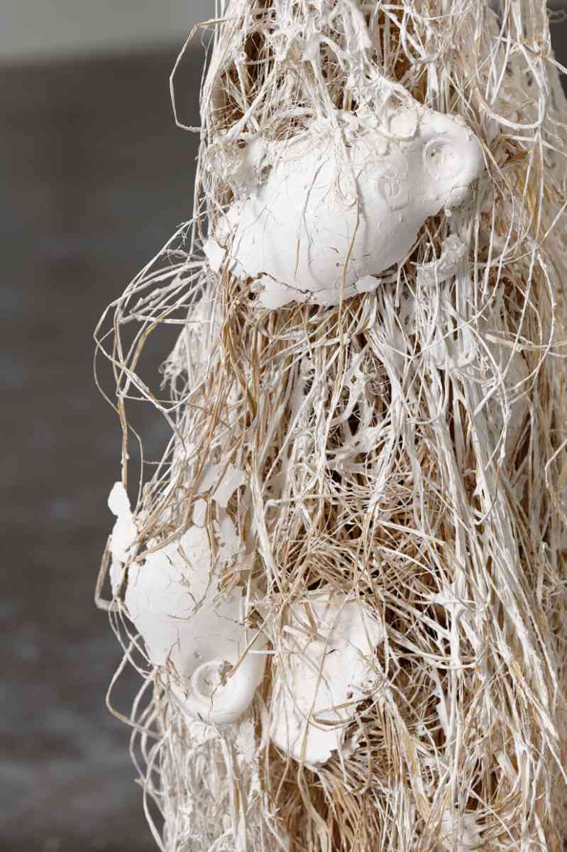 triangle-2022-dominique-white-009