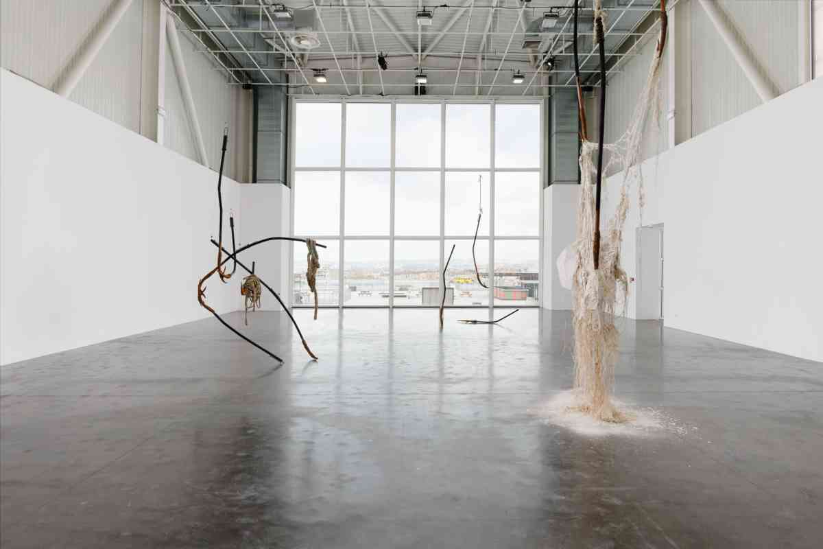 triangle-2022-dominique-white-082