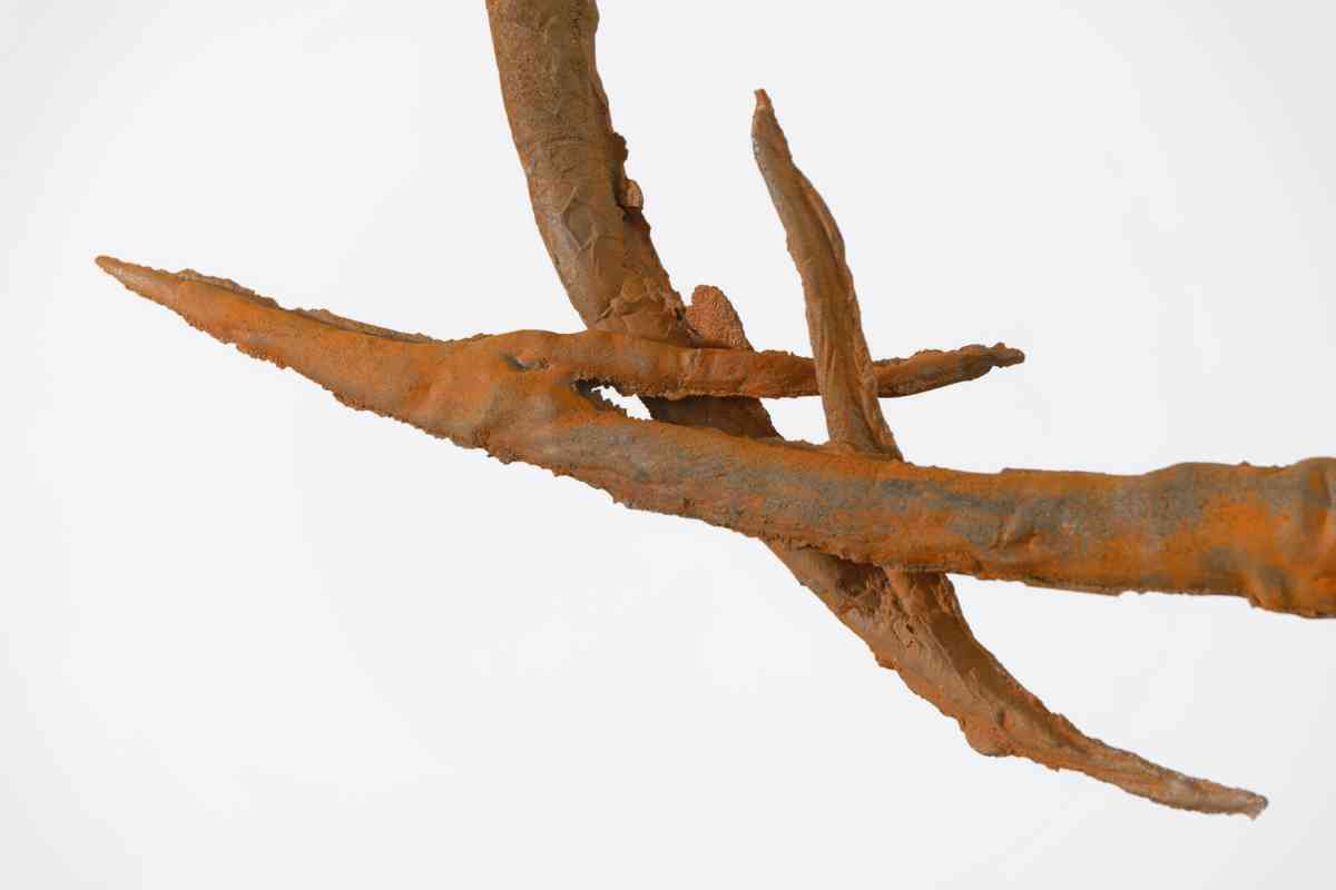 triangle-2022-dominique-white-064