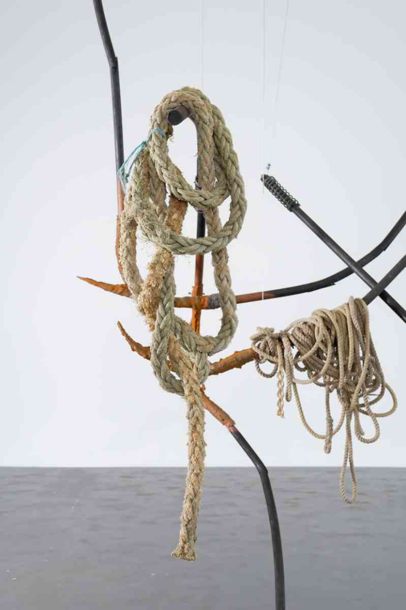 triangle-2022-dominique-white-052