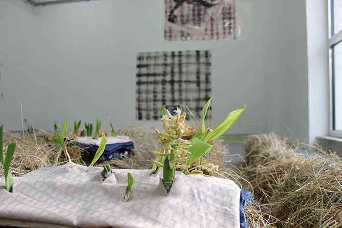 2_benjamin_blaquart_2015